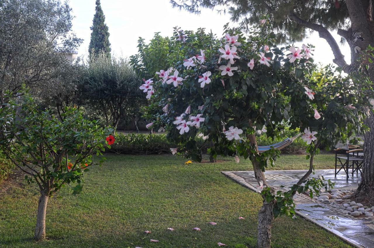 Messinian Blue Seaside Villa Kalamata Bagian luar foto